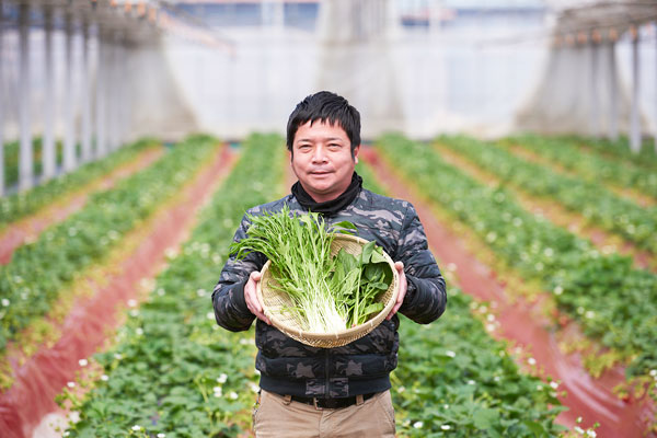 菅谷健太